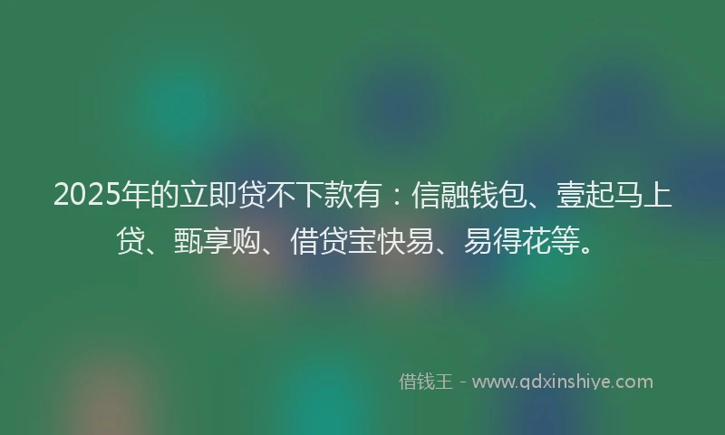 2025年的立即贷不下款有：信融钱包、壹起马上贷、甄享购、借贷宝快易、易得花等。