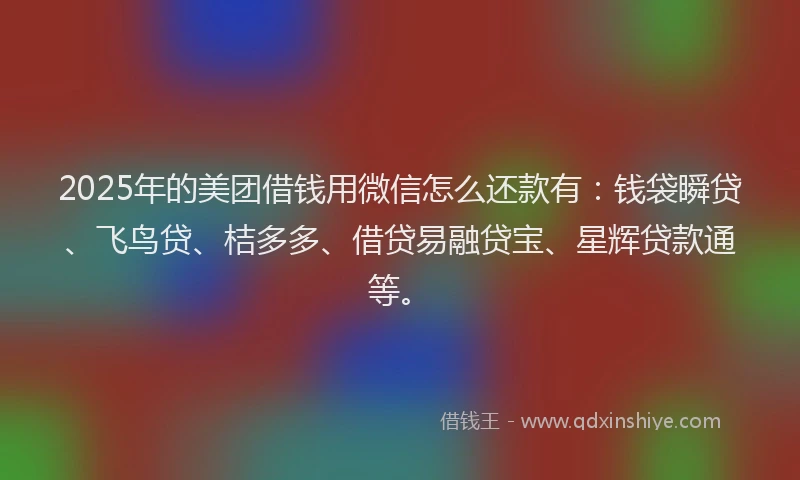 2025年的美团借钱用微信怎么还款有：钱袋瞬贷、飞鸟贷、桔多多、借贷易融贷宝、星辉贷款通等。