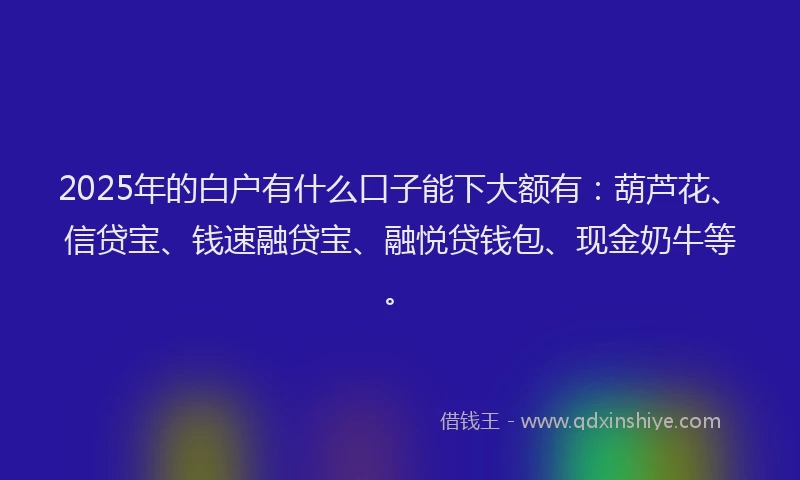 2025年的白户有什么口子能下大额有：葫芦花、信贷宝、钱速融贷宝、融悦贷钱包、现金奶牛等。