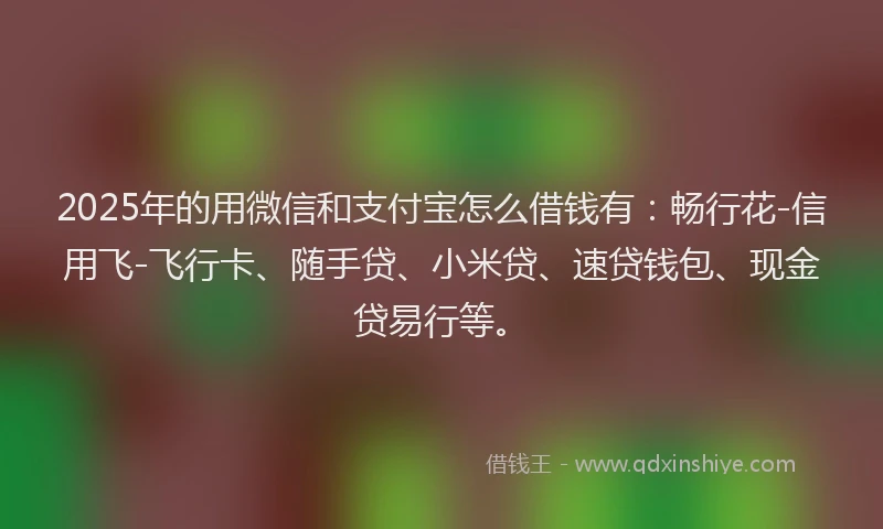 2025年的用微信和支付宝怎么借钱有：畅行花-信用飞-飞行卡、随手贷、小米贷、速贷钱包、现金贷易行等。
