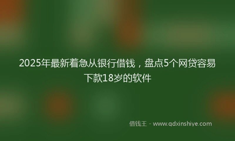2025年最新着急从银行借钱，盘点5个网贷容易下款18岁的软件