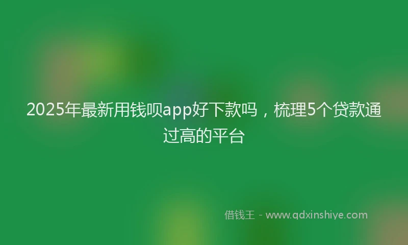 2025年最新用钱呗app好下款吗，梳理5个贷款通过高的平台