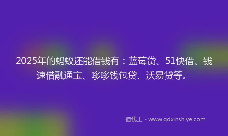 2025年的蚂蚁还能借钱有：蓝莓贷、51快借、钱速借融通宝、哆哆钱包贷、沃易贷等。