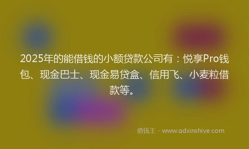 2025年的能借钱的小额贷款公司有：悦享Pro钱包、现金巴士、现金易贷盒、信用飞、小麦粒借款等。