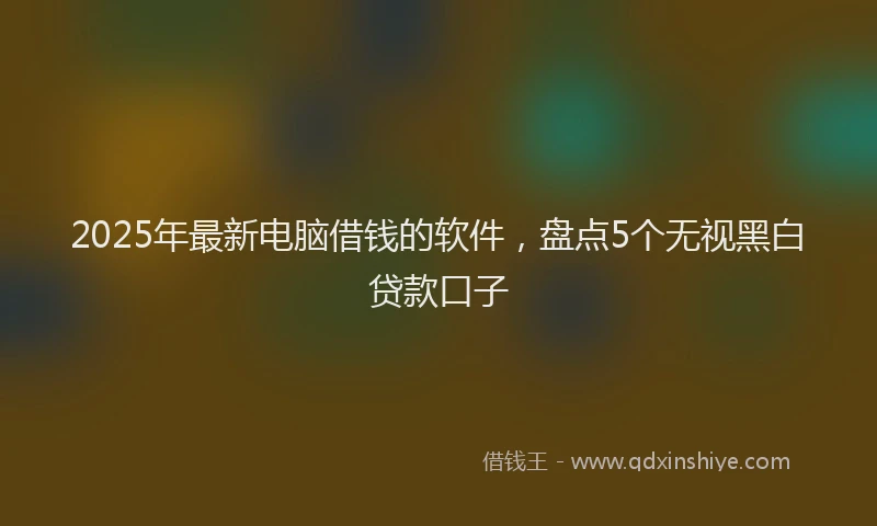 2025年最新电脑借钱的软件，盘点5个无视黑白贷款口子