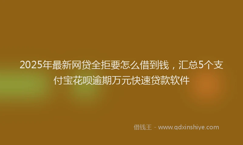 2025年最新网贷全拒要怎么借到钱，汇总5个支付宝花呗逾期万元快速贷款软件