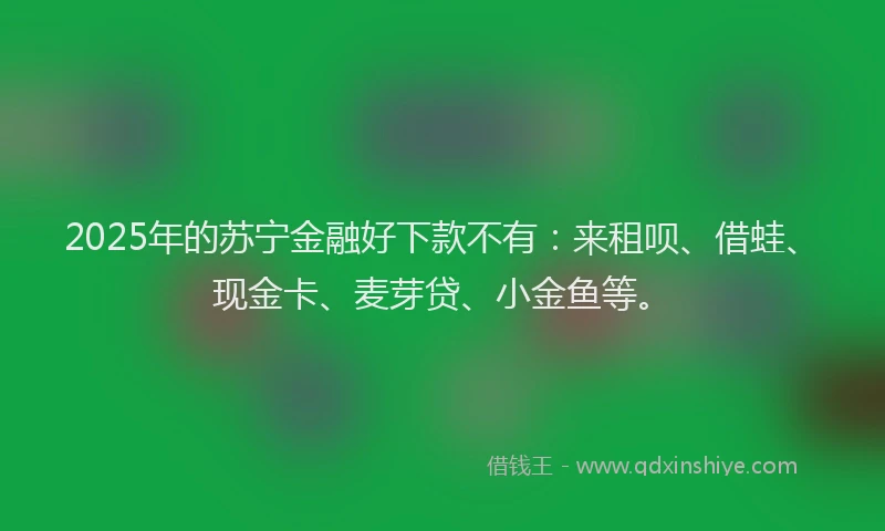2025年的苏宁金融好下款不有：来租呗、借蛙、现金卡、麦芽贷、小金鱼等。