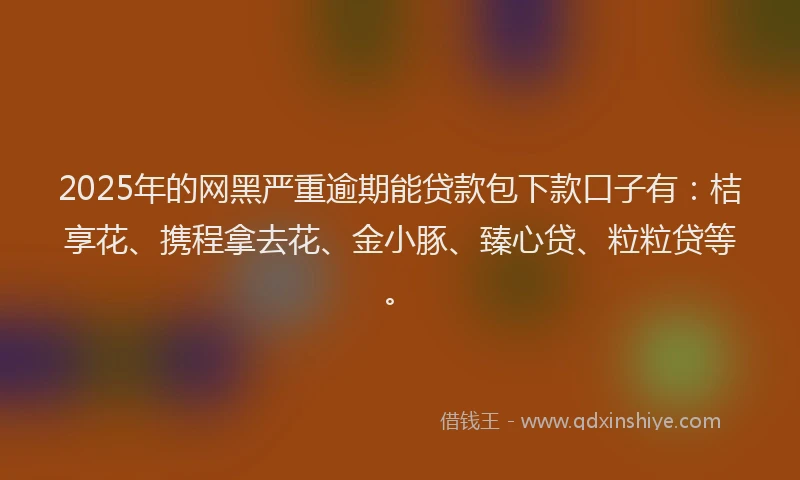 2025年的网黑严重逾期能贷款包下款口子有：桔享花、携程拿去花、金小豚、臻心贷、粒粒贷等。
