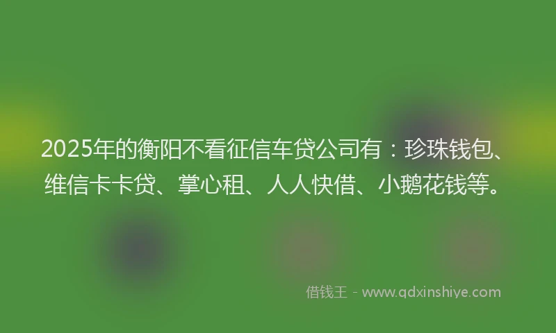 2025年的衡阳不看征信车贷公司有：珍珠钱包、维信卡卡贷、掌心租、人人快借、小鹅花钱等。
