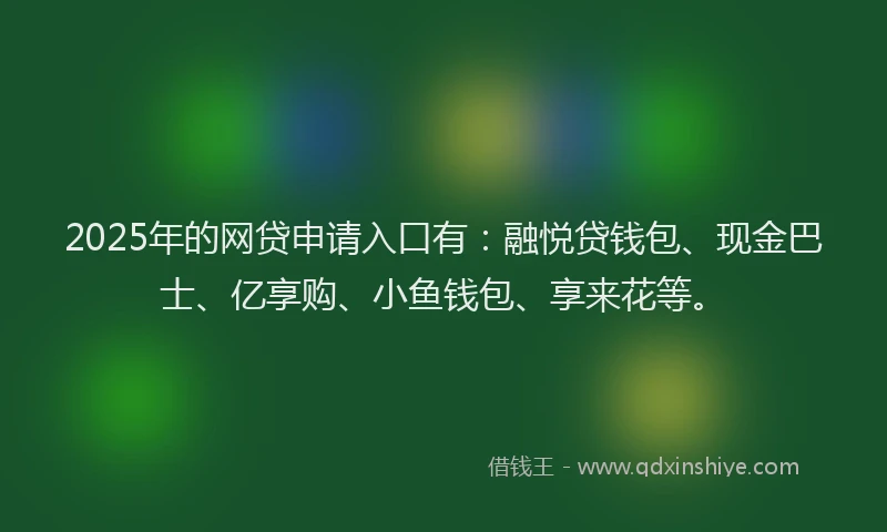 2025年的网贷申请入口有：融悦贷钱包、现金巴士、亿享购、小鱼钱包、享来花等。