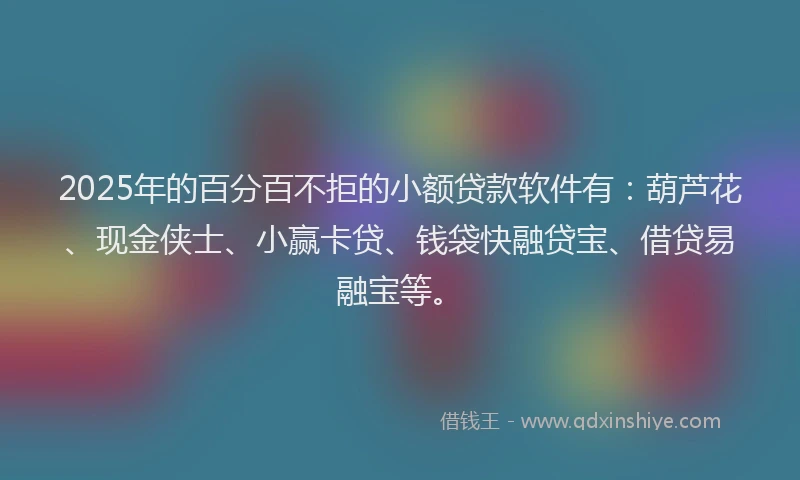 2025年的百分百不拒的小额贷款软件有：葫芦花、现金侠士、小赢卡贷、钱袋快融贷宝、借贷易融宝等。
