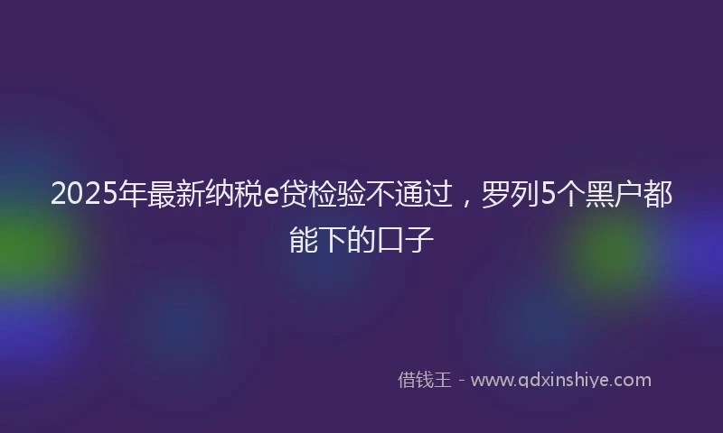 2025年最新纳税e贷检验不通过，罗列5个黑户都能下的口子