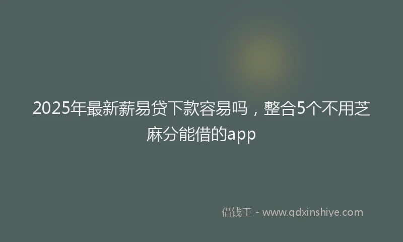 2025年最新薪易贷下款容易吗，整合5个不用芝麻分能借的app