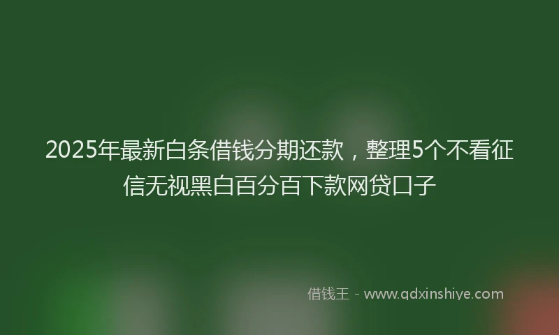 2025年最新白条借钱分期还款，整理5个不看征信无视黑白百分百下款网贷口子