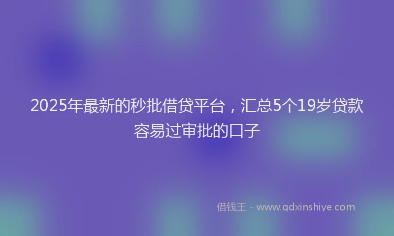 2025年最新的秒批借贷平台，汇总5个19岁贷款容易过审批的口子