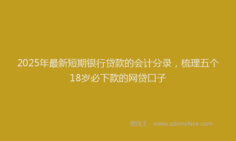 2025年最新短期银行贷款的会计分录，梳理五个18岁必下款的网贷口子
