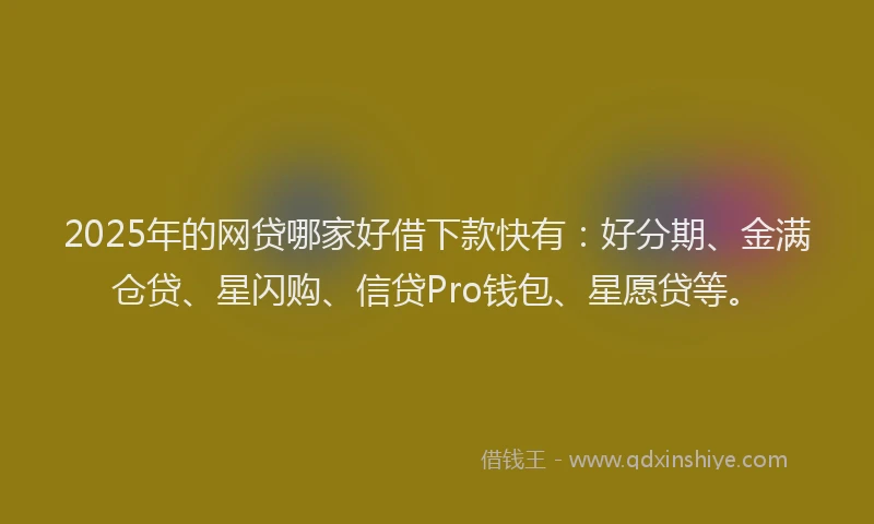 2025年的网贷哪家好借下款快有：好分期、金满仓贷、星闪购、信贷Pro钱包、星愿贷等。