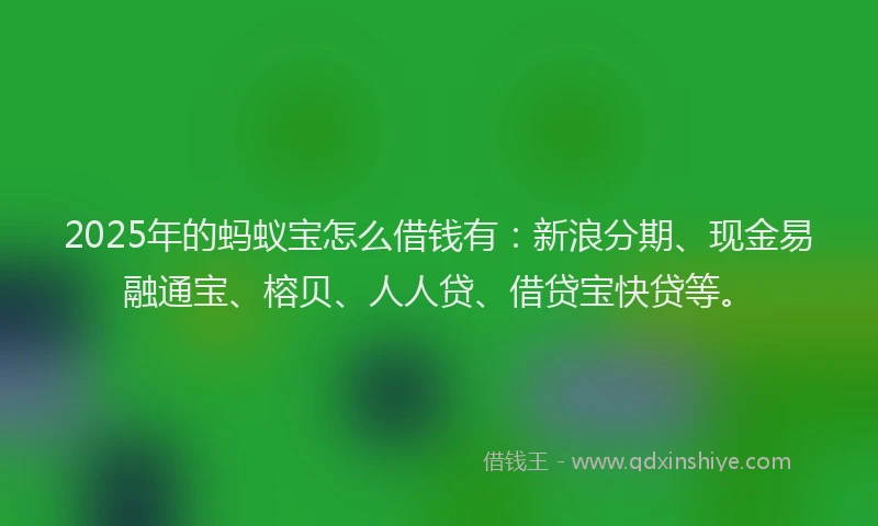 2025年的蚂蚁宝怎么借钱有：新浪分期、现金易融通宝、榕贝、人人贷、借贷宝快贷等。