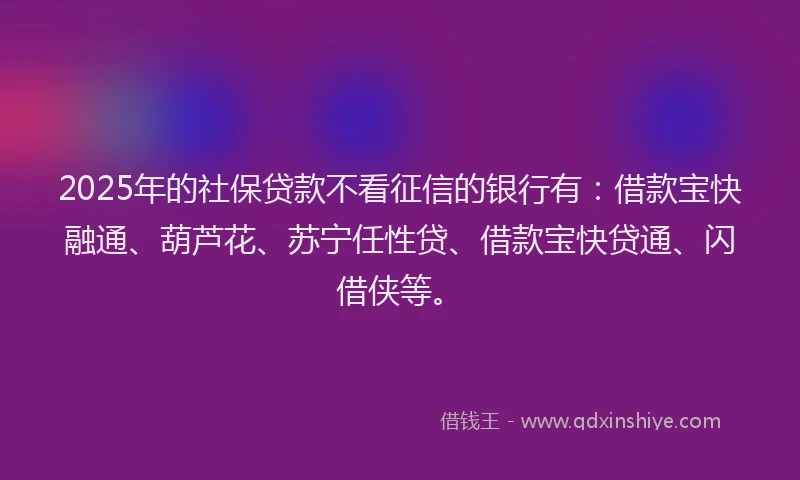 2025年的社保贷款不看征信的银行有：借款宝快融通、葫芦花、苏宁任性贷、借款宝快贷通、闪借侠等。