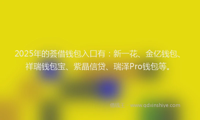 2025年的荟借钱包入口有：新一花、金亿钱包、祥瑞钱包宝、紫晶信贷、瑞泽Pro钱包等。