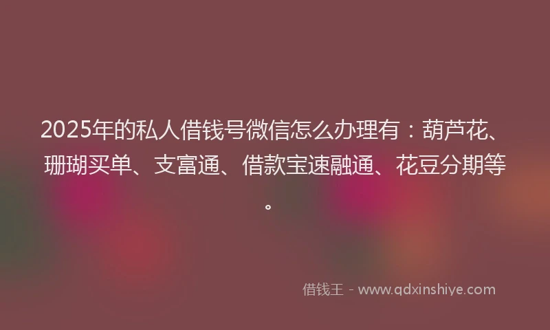 2025年的私人借钱号微信怎么办理有：葫芦花、珊瑚买单、支富通、借款宝速融通、花豆分期等。