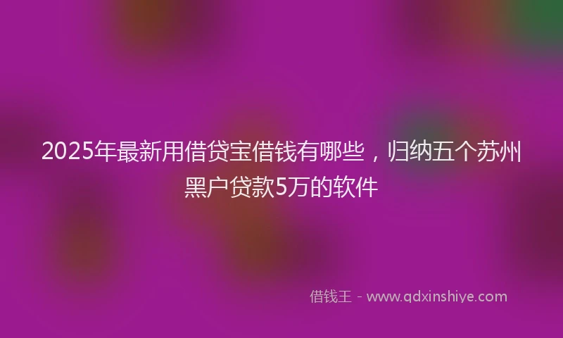 2025年最新用借贷宝借钱有哪些，归纳五个苏州黑户贷款5万的软件
