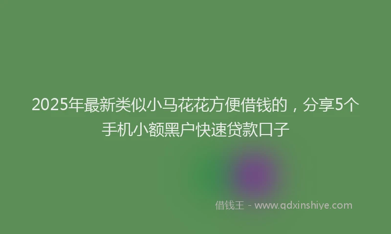2025年最新类似小马花花方便借钱的，分享5个手机小额黑户快速贷款口子