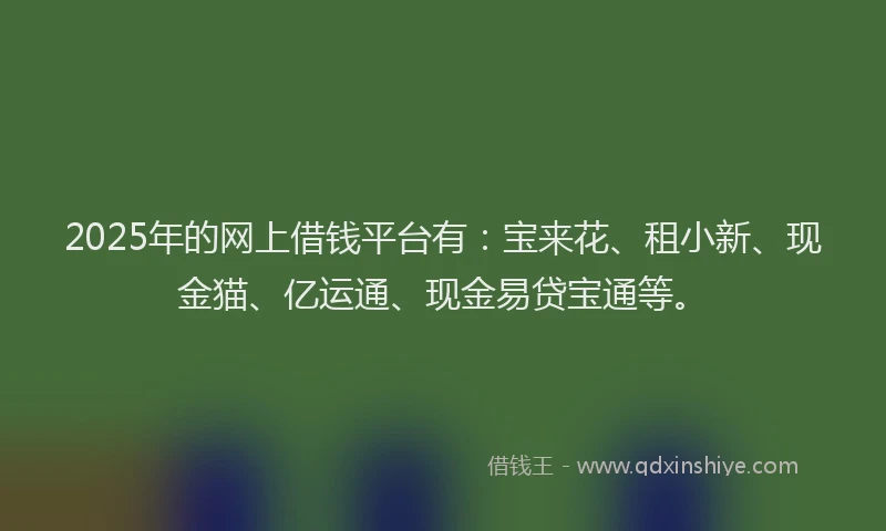 2025年的网上借钱平台有：宝来花、租小新、现金猫、亿运通、现金易贷宝通等。