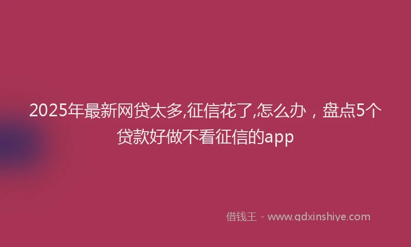 2025年最新网贷太多,征信花了,怎么办，盘点5个贷款好做不看征信的app