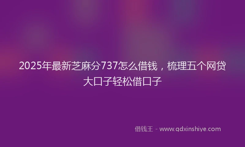 2025年最新芝麻分737怎么借钱，梳理五个网贷大口子轻松借口子