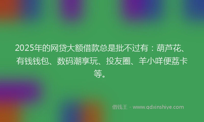2025年的网贷大额借款总是批不过有：葫芦花、有钱钱包、数码潮享玩、投友圈、羊小咩便荔卡等。