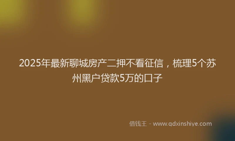 2025年最新聊城房产二押不看征信，梳理5个苏州黑户贷款5万的口子