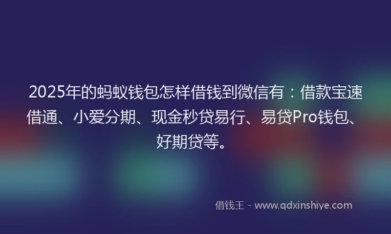 2025年的蚂蚁钱包怎样借钱到微信有：借款宝速借通、小爱分期、现金秒贷易行、易贷Pro钱包、好期贷等。