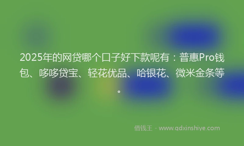 2025年的网贷哪个口子好下款呢有：普惠Pro钱包、哆哆贷宝、轻花优品、哈银花、微米金条等。