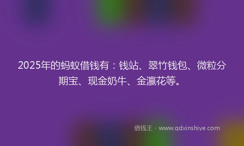 2025年的蚂蚁借钱有：钱站、翠竹钱包、微粒分期宝、现金奶牛、金瀛花等。