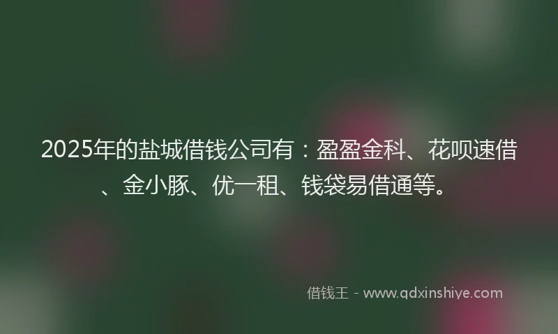 2025年的盐城借钱公司有：盈盈金科、花呗速借、金小豚、优一租、钱袋易借通等。