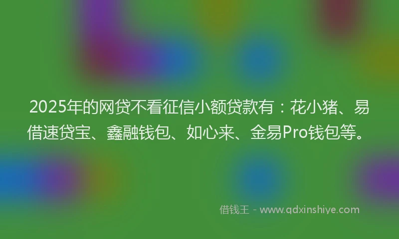 2025年的网贷不看征信小额贷款有：花小猪、易借速贷宝、鑫融钱包、如心来、金易Pro钱包等。