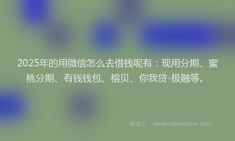2025年的用微信怎么去借钱呢有：现用分期、蜜桃分期、有钱钱包、榕贝、你我贷-极融等。