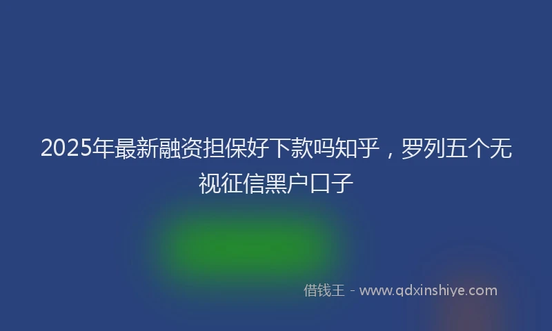 2025年最新融资担保好下款吗知乎，罗列五个无视征信黑户口子