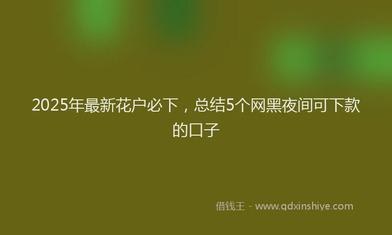 2025年最新花户必下，总结5个网黑夜间可下款的口子