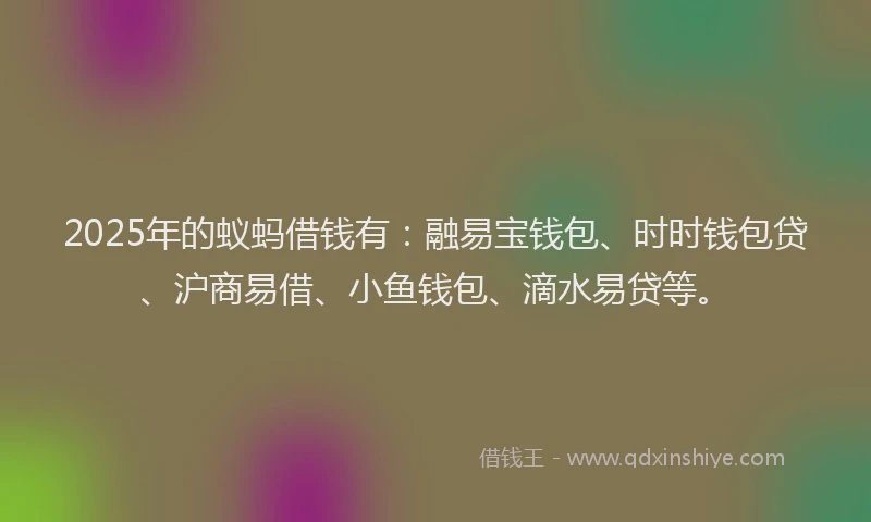 2025年的蚁蚂借钱有：融易宝钱包、时时钱包贷、沪商易借、小鱼钱包、滴水易贷等。