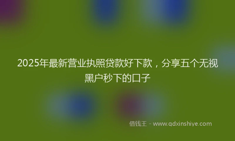 2025年最新营业执照贷款好下款，分享五个无视黑户秒下的口子