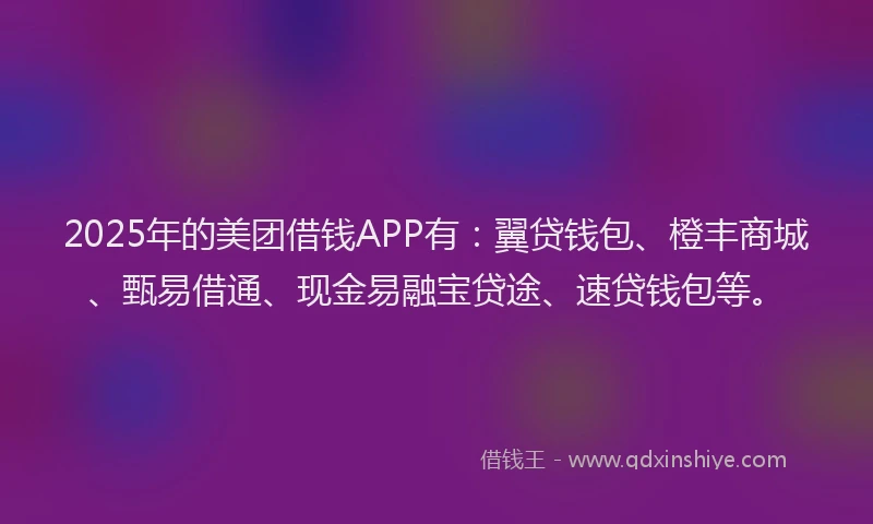 2025年的美团借钱APP有：翼贷钱包、橙丰商城、甄易借通、现金易融宝贷途、速贷钱包等。