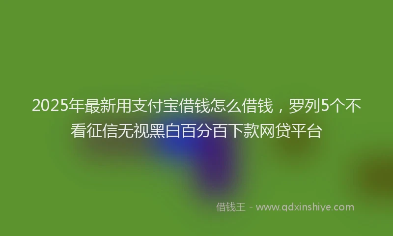 2025年最新用支付宝借钱怎么借钱，罗列5个不看征信无视黑白百分百下款网贷平台