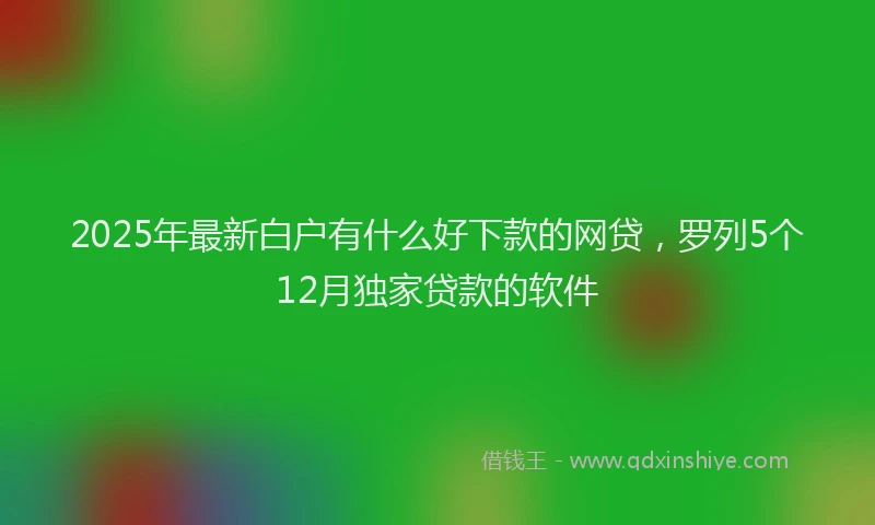 2025年最新白户有什么好下款的网贷，罗列5个12月独家贷款的软件