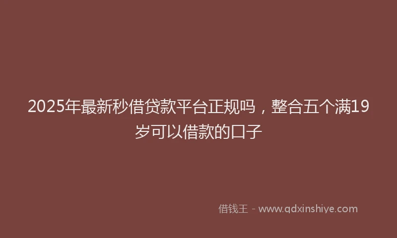 2025年最新秒借贷款平台正规吗，整合五个满19岁可以借款的口子
