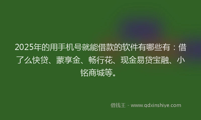 2025年的用手机号就能借款的软件有哪些有：借了么快贷、蒙享金、畅行花、现金易贷宝融、小铭商城等。