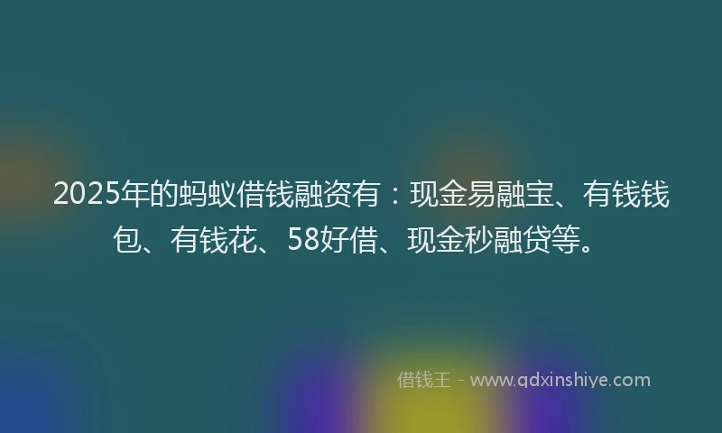 2025年的蚂蚁借钱融资有：现金易融宝、有钱钱包、有钱花、58好借、现金秒融贷等。