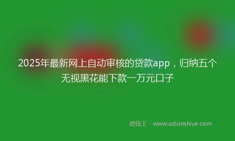 2025年最新网上自动审核的贷款app，归纳五个无视黑花能下款一万元口子