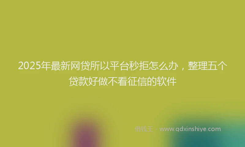 2025年最新网贷所以平台秒拒怎么办，整理五个贷款好做不看征信的软件
